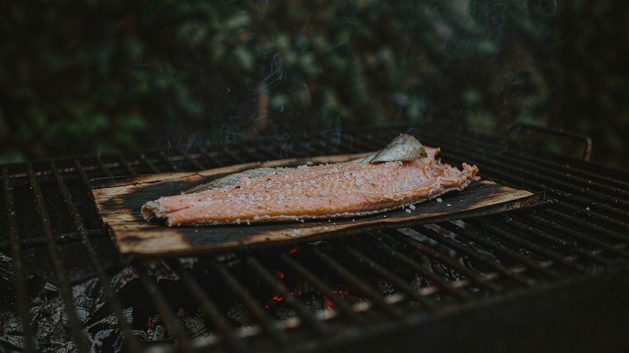 Plankegrillet laks